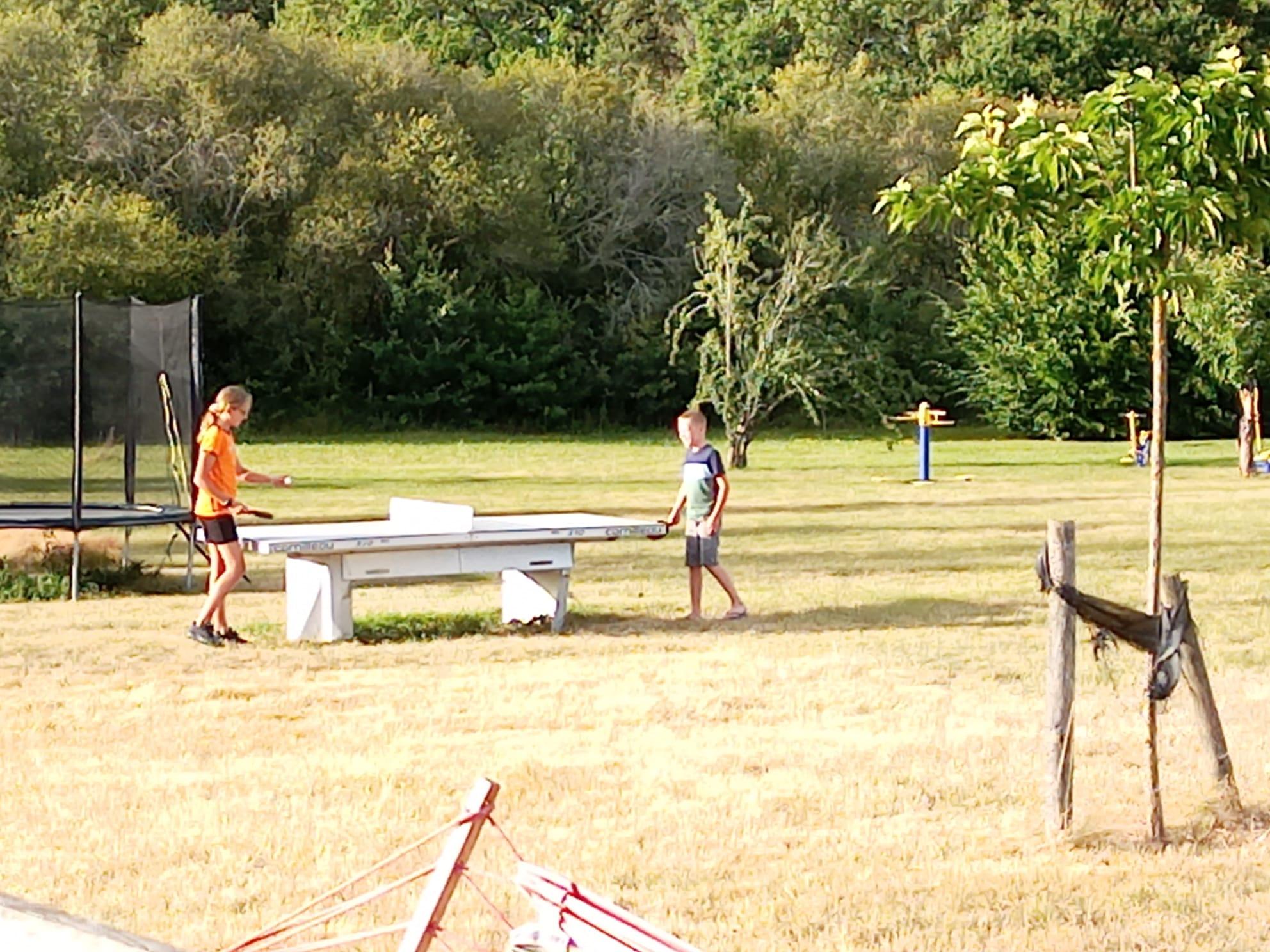 Tafeltennissen op het grote veld